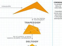 Własności czworokątów - 2