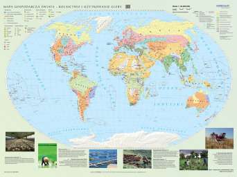 Mapa gospodarcza świata - rolnictwo i użytkowanie gleby  - mapa ścienna
