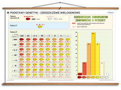 Podstawy genetyki - rabatowy komplet 5 plansz dydaktycznych - 6