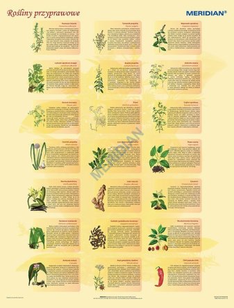 Ścienna plansza szkolna do biologii, z cyklu bioróżnorodność świata przedstawiająca 21 gatunków roślin przyprawowych spotykanych w naszych ogrodach i kuchni. 