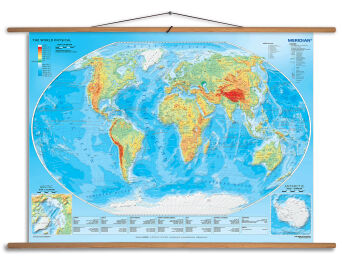 The World Physical