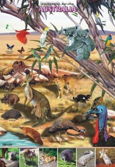 Zwierzęta świata - Australia - ścienna plansza dydaktyczna