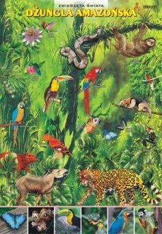 Zwierzęta świata - dżungla amazońska - ścienna plansza dydaktyczna