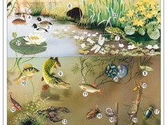 Komplet 5 ściennych plansz szkolnych do biologii przedstawiających różnorodne ekosystemy