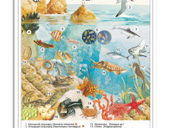 Ekosystemy - rabatowy komplet 5 plansz dydaktycznych - 10