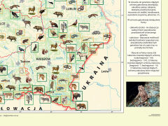 Zoogeografia Polski