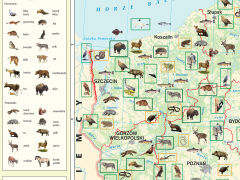 Zoogeografia Polski
