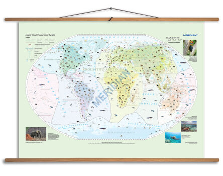 Krainy zoogeograficzne świata