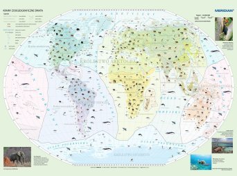 Krainy zoogeograficzne świata - mapa ścienna