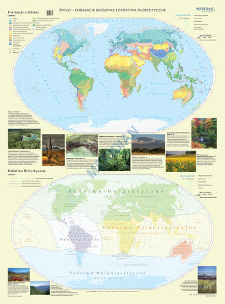 Ścienna, dwudzielna mapa szkolna przedstawiająca państwa florystyczne oraz formacje roślinne na świecie.