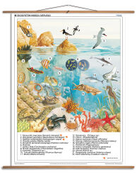 Ekosystem morza ciepłego