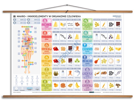 Makro- i mikroelementy w organizmie człowieka
