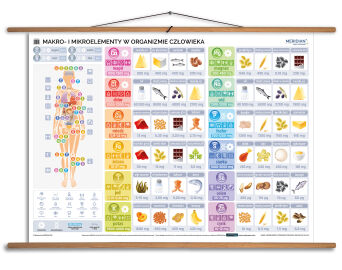 Makro- i mikroelementy w organizmie człowieka
