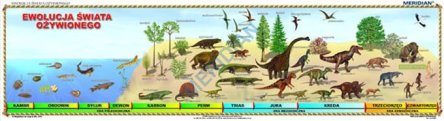 Ścienna plansza do biologii przedstawiająca ewolucję świata ożywionego