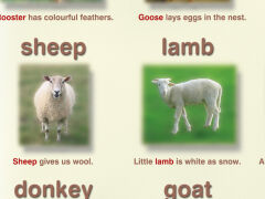 Farm animals and pets - 2